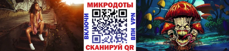 Купить где  Брюховецкая  Псилоцибиновые грибы Psilocybe 